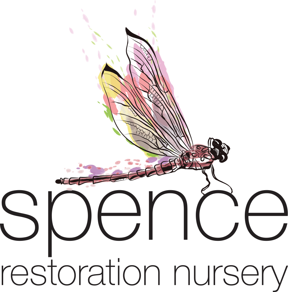 Spence Restoration Nursery